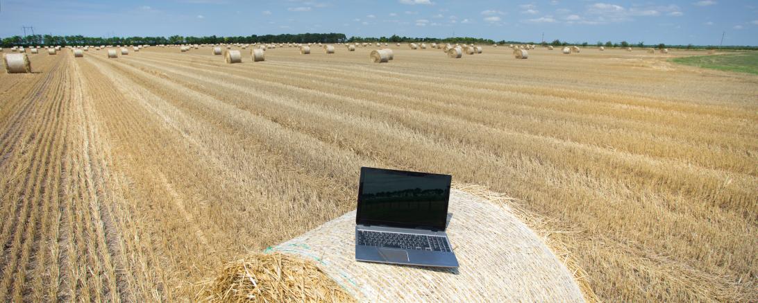 Notebook auf Strohballen