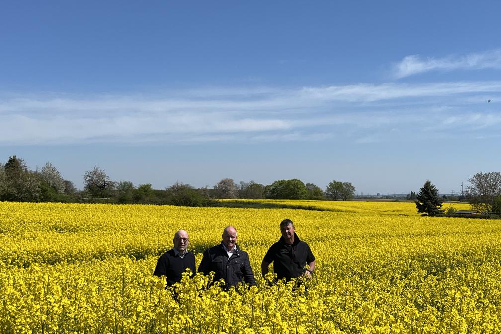 Ernst-Winfried Döhne, Karsten Schmal, Jürgen Pauly im Rapsfeld