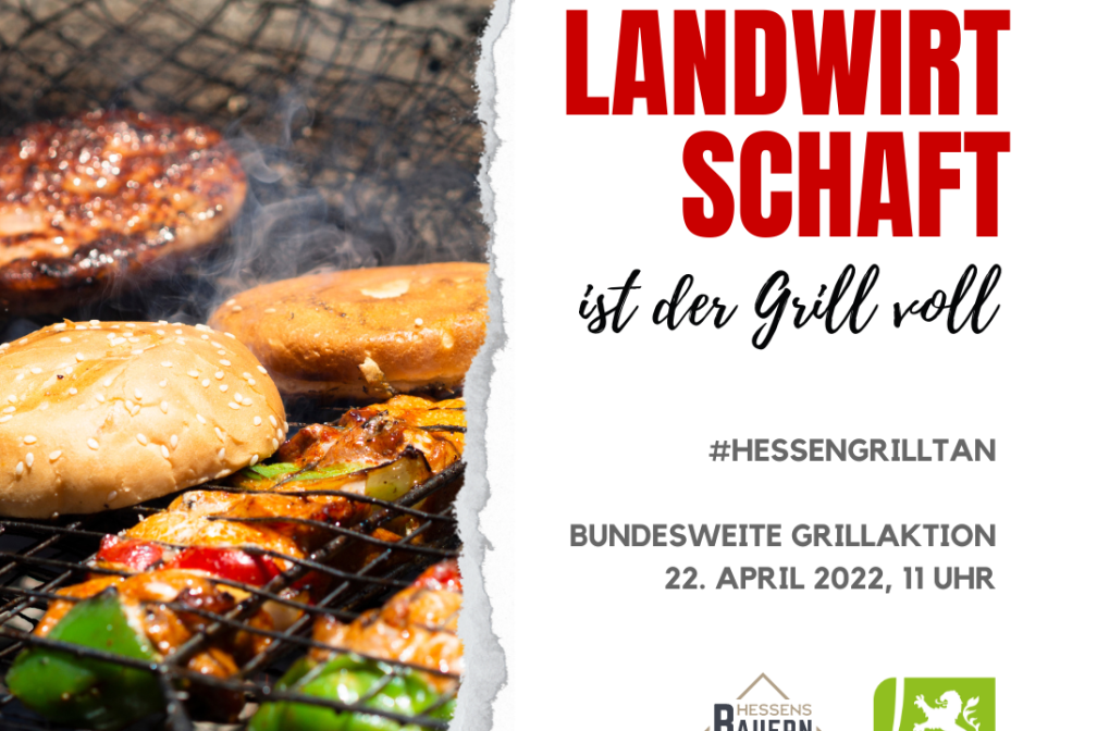 Hessen grillt an