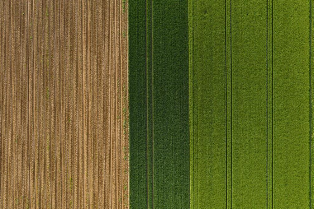 Luftbild landwirtschaftlicher Kulturen im Frühjahr