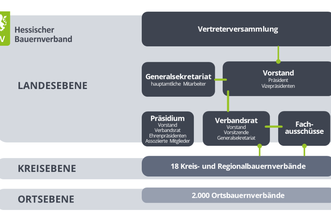 Gremienstruktur HBV