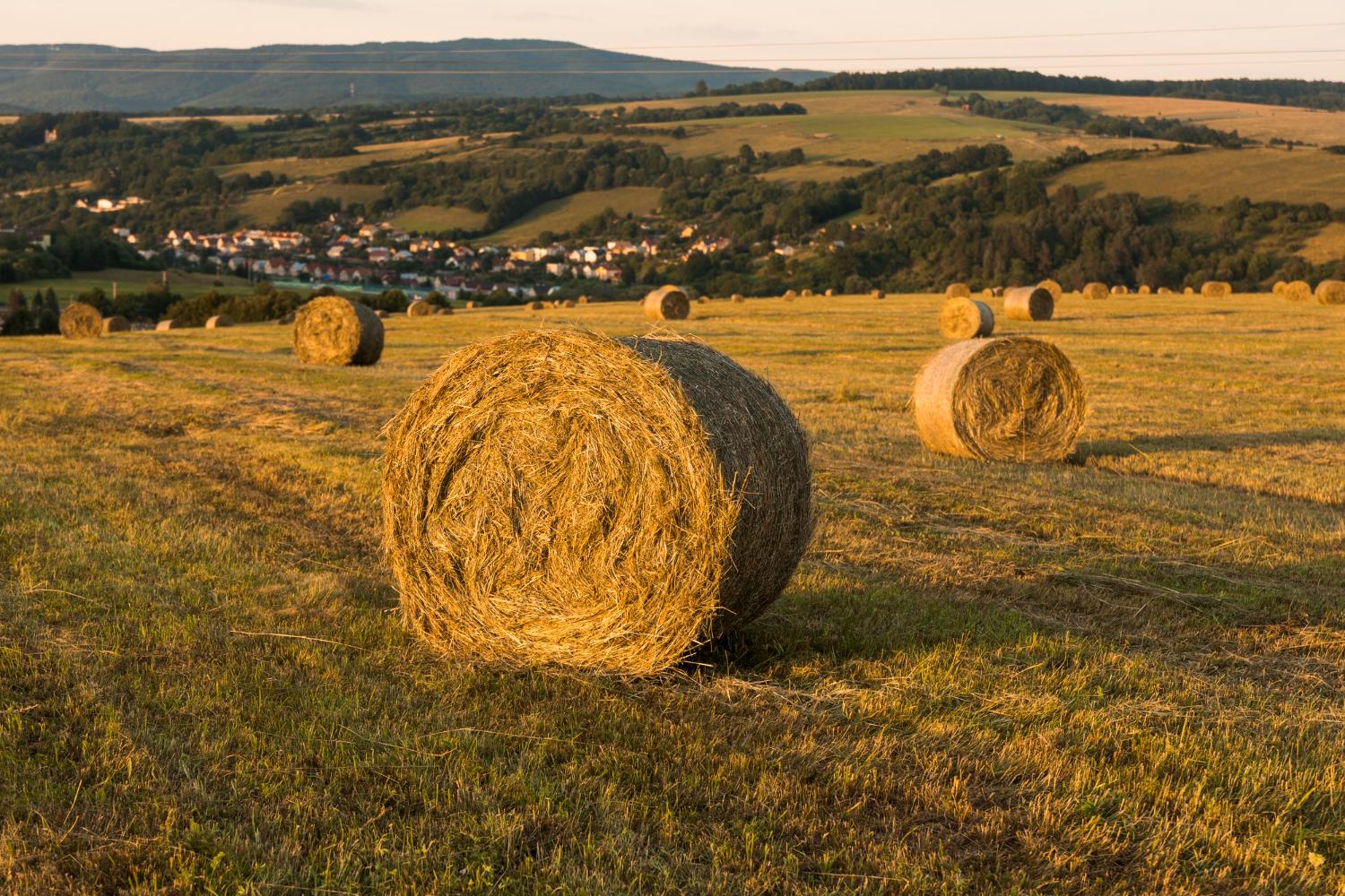 Heuballen